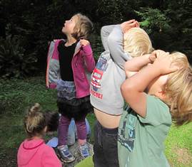 PreK_camp_bird
