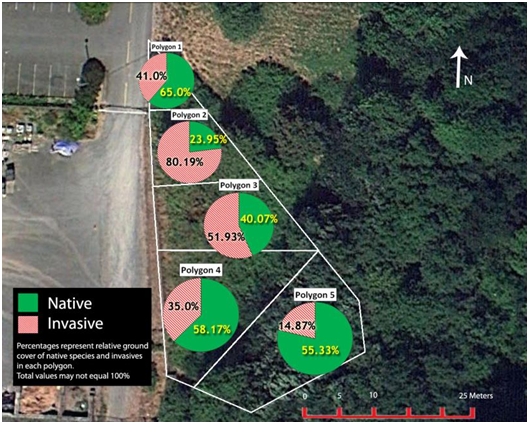 Yesler Swamp Map