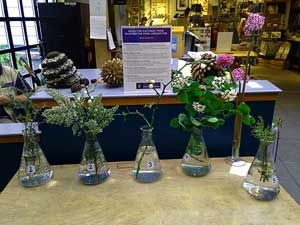 Selected cuttings from the Washington Park Arboretum (April 15 - 28, 2014)