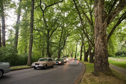 Arboretum Drive by E. Welty