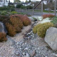 CUH Dry Stream Bed