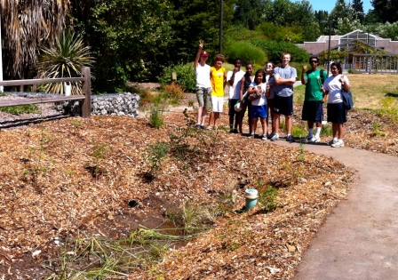 Rain garden at CUH Rain garden at CUH