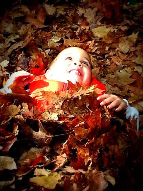 SSHChildleaves