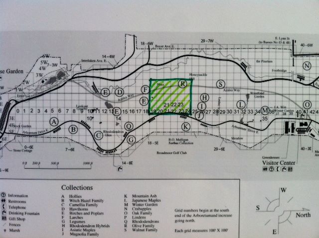 The "green zone".