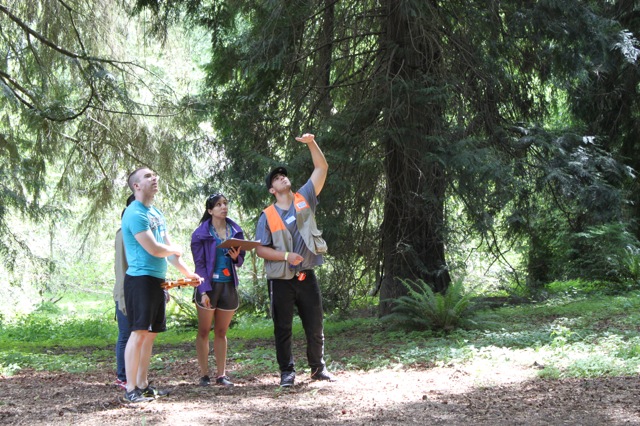 Greg Vargas and other UW students use clinometers to approximate the height of a large redcedar in our "Native Matrix"