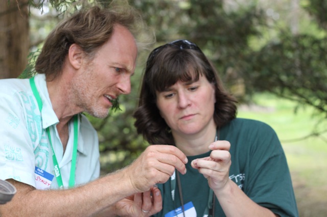 Jenni Cena & Liam Stacey, guest entomologists, examine a catch