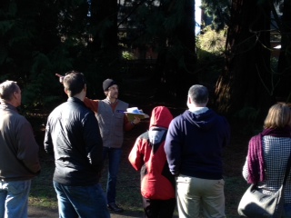 photo-7