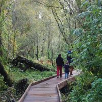 3 people on Yesler Swamp boardwalk