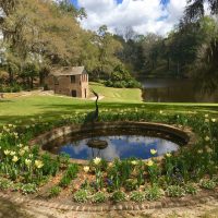 Middleton Place, Charleston South Carolina