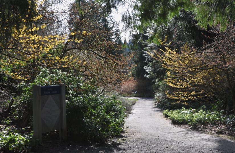 path leading to winter garden