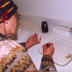 Seed vault volunteer
