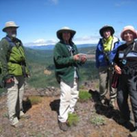 four volunteers