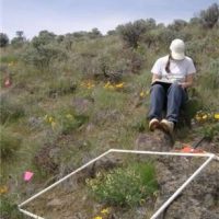 Field assistant Kelley Craig records flower production data.