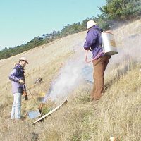 The site is burned to prepare for seeding golden paintbrush.