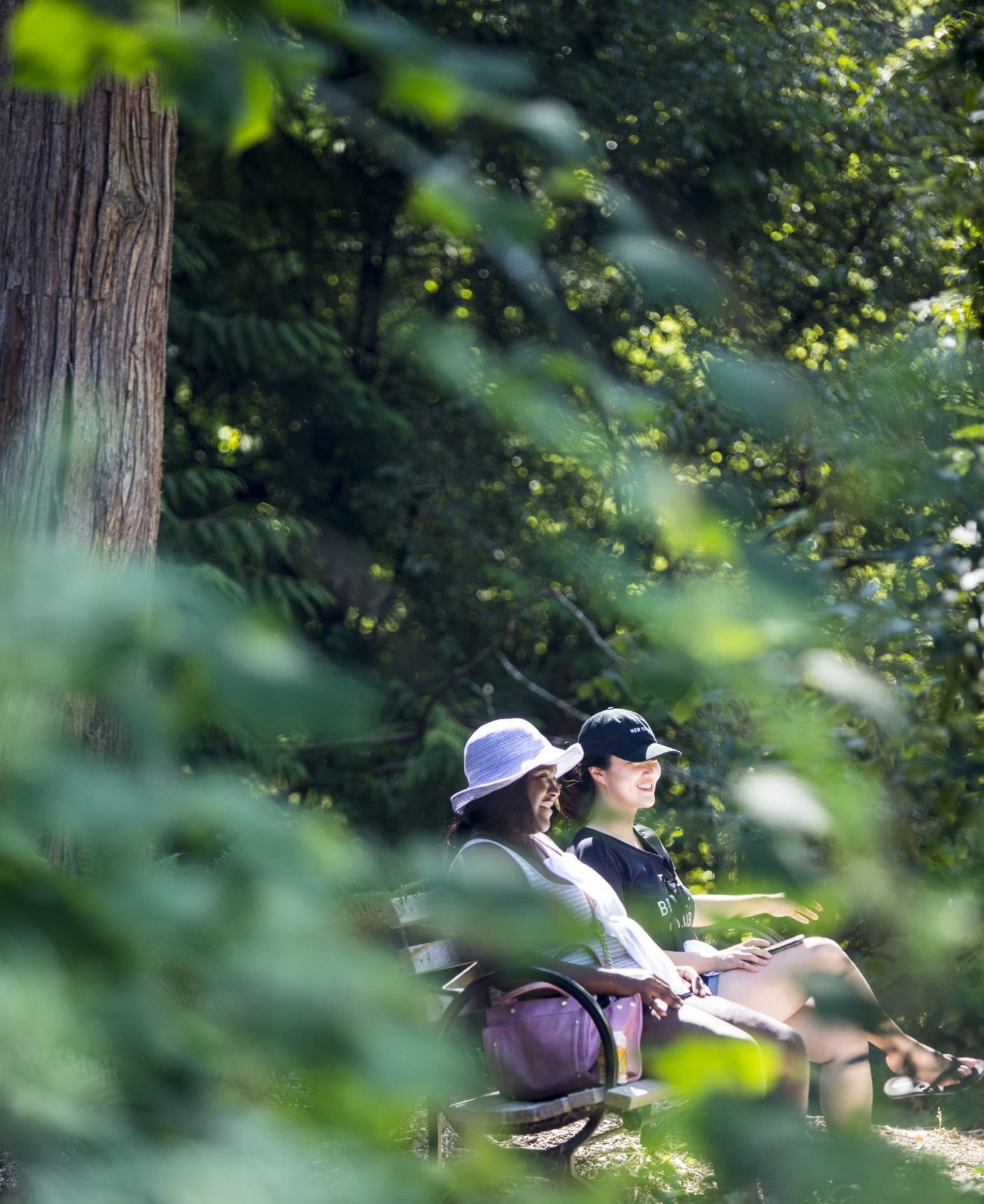 Relaxing on a bench under a tree