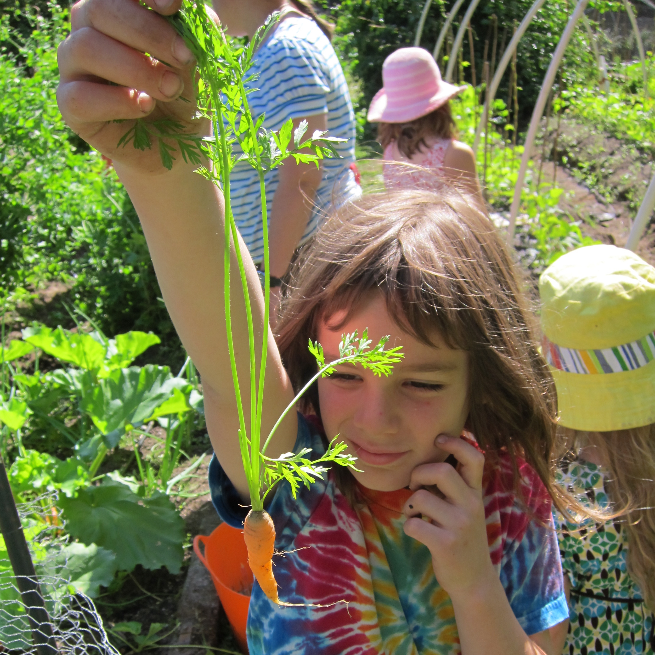 Summer Camp University of Washington Botanic Gardens
