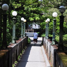 arboretum tours