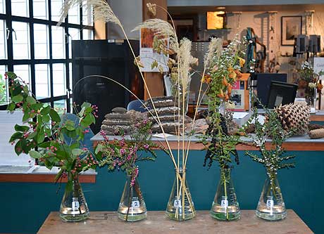 Selected cuttings from the Washington Park Arboretum (October 3 - 16, 2016)