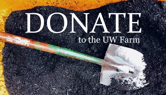 donate graphic