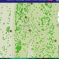 a screenshot of the stylized map, showing many green dots and a few purple dots.