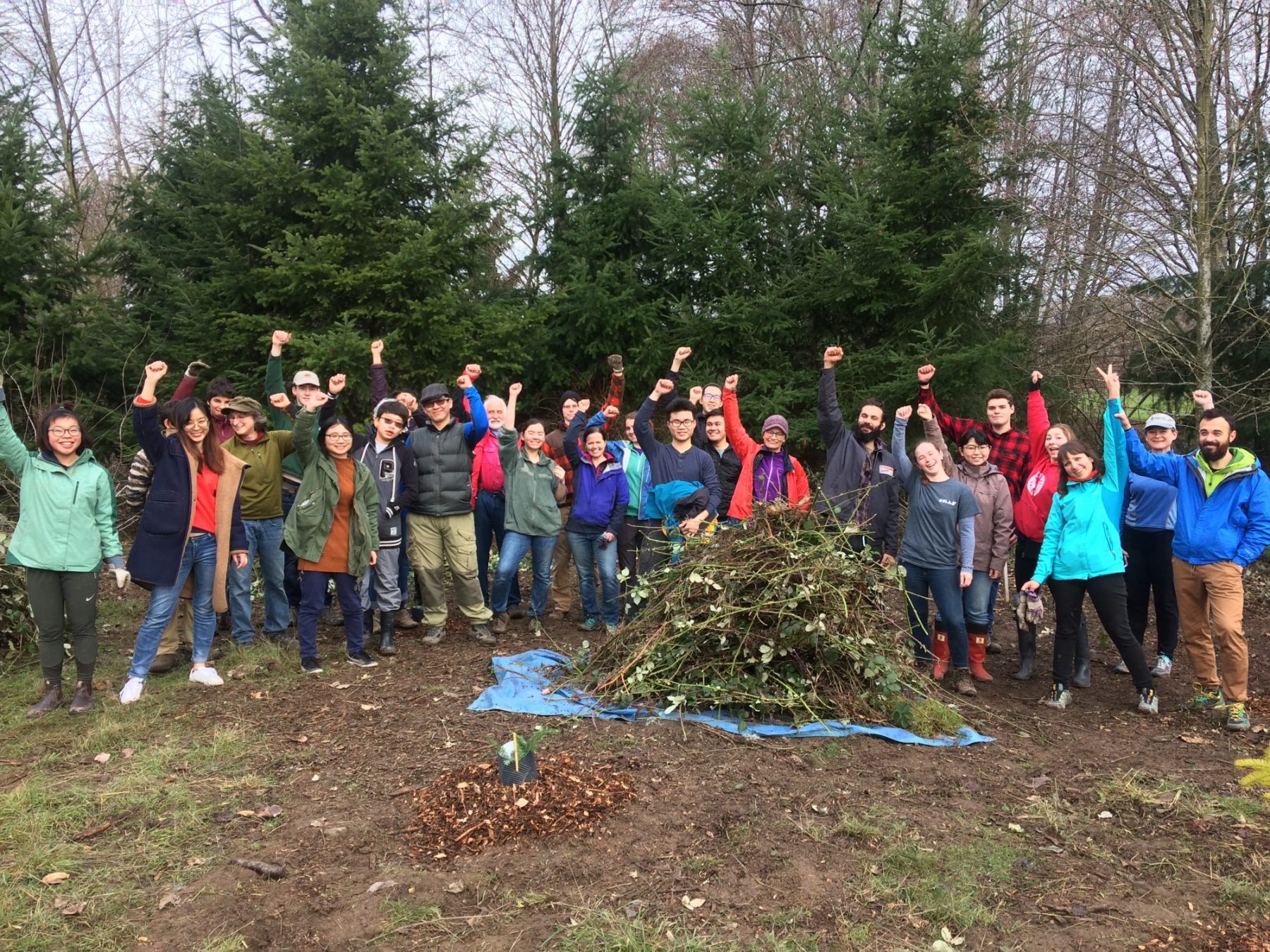 Volunteers helping out in the Union Bay Natural Area, 2019 MLK Day of Service