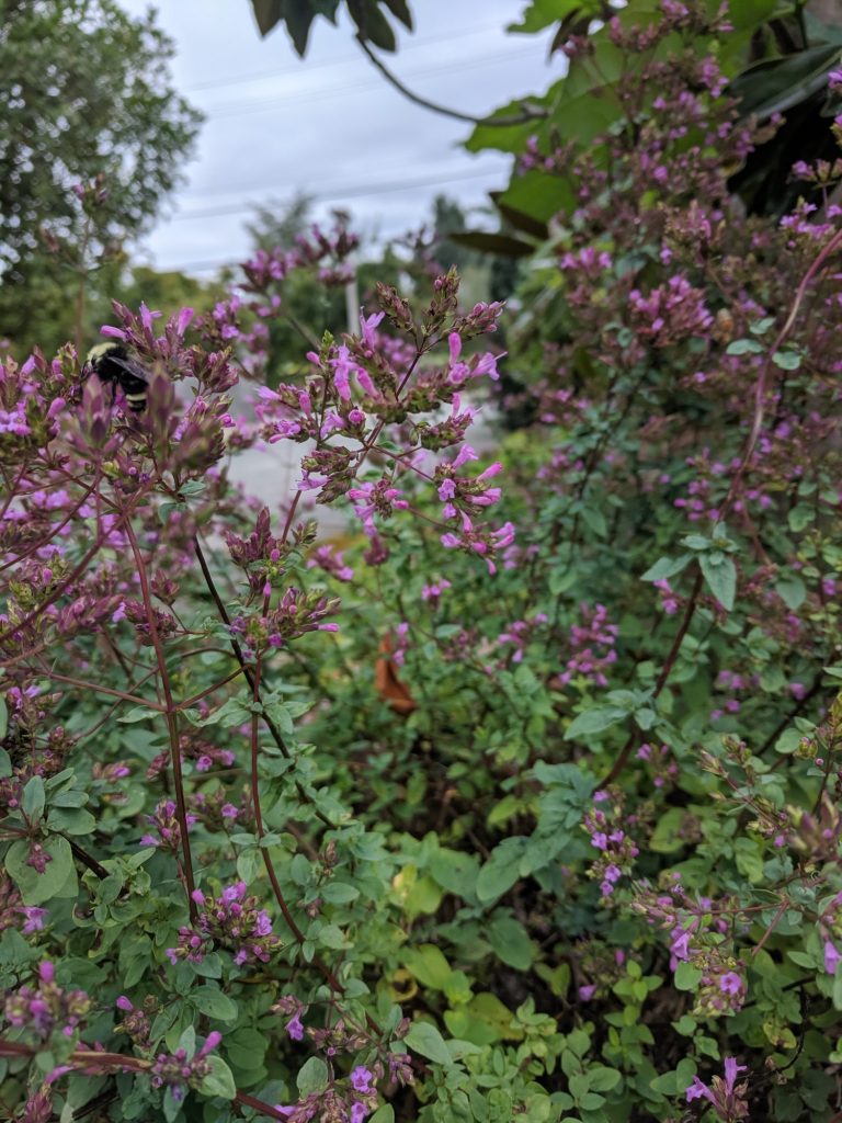 Image 15