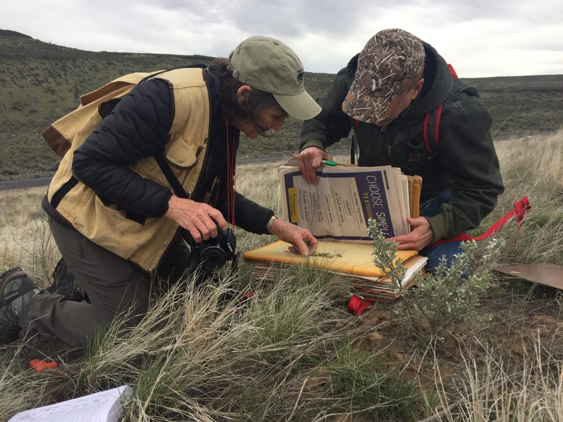 Two Rare Care volunteers pressing plants at Two-Steppe Natural Area Preserve