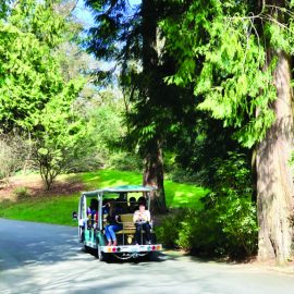Tram Tour Arboretum Loop Trail