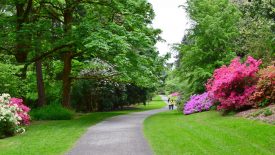 Azalea-Way-by-Niall-Dunne-7
