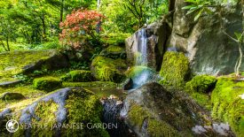 SJG-Mossy+Waterfall