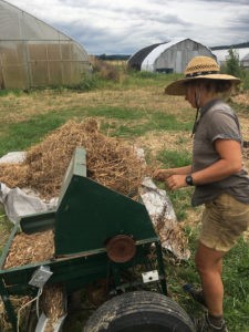 Cleaning & saving seeds on the farm