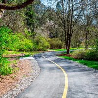 View of Arboretum Trail