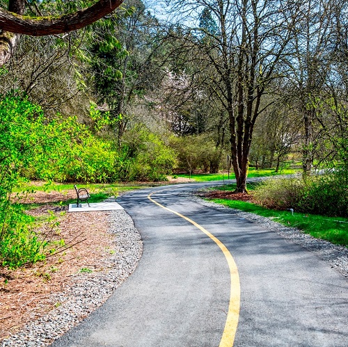 View of Arboretum Trail