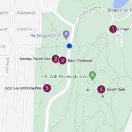 Digital Tree Tours
