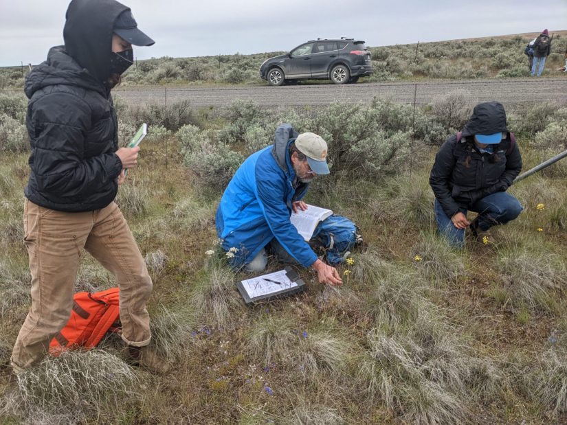 Exploring Marcellus Shrub Steppe Natural Area Preserve