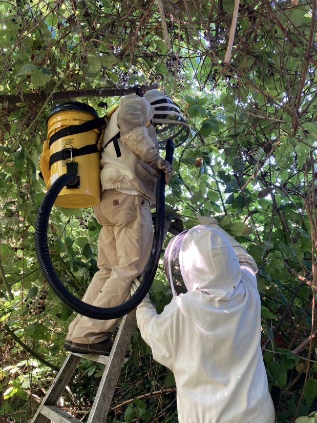 The beekeepers work together as they gather up all the parts of the beehive