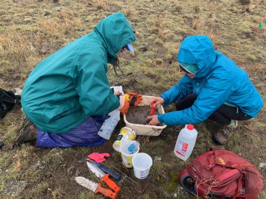 Jane Abel and Mickie Chamness washing roots of Umtanum desert buckwheat.