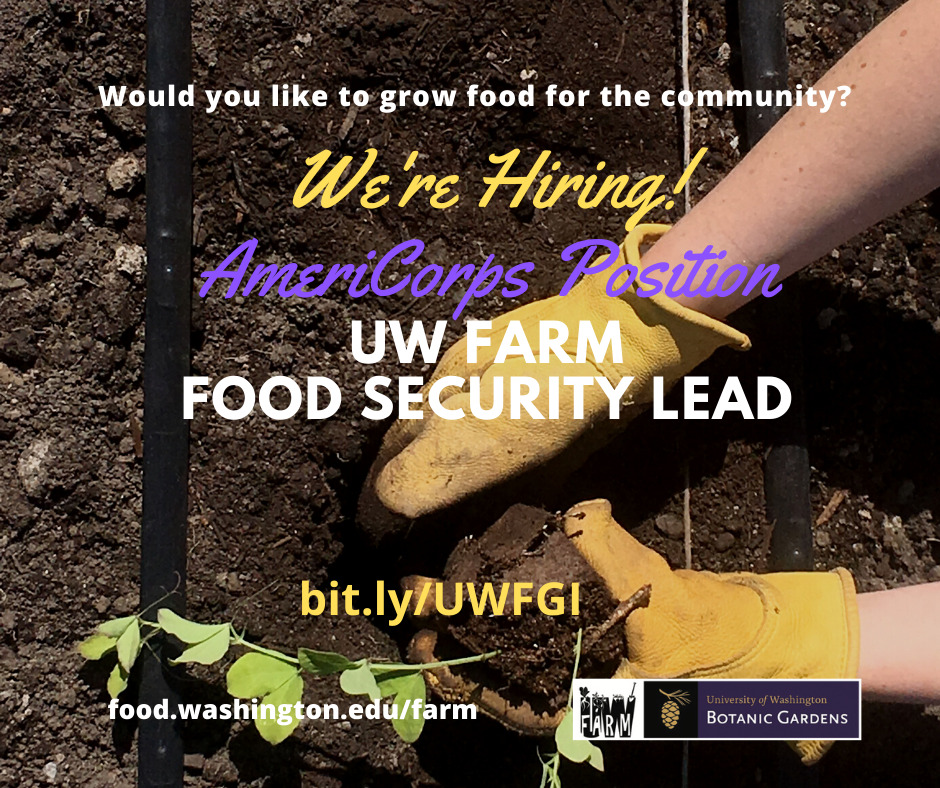 A photo of gloved hands in the dirt. The text over the photo reads "Would you like to grow food for the community? We're Hiring! AmeriCorps Position UW Farm Food Security Lead" a link is provided - the url is bit.ly/UWFGI