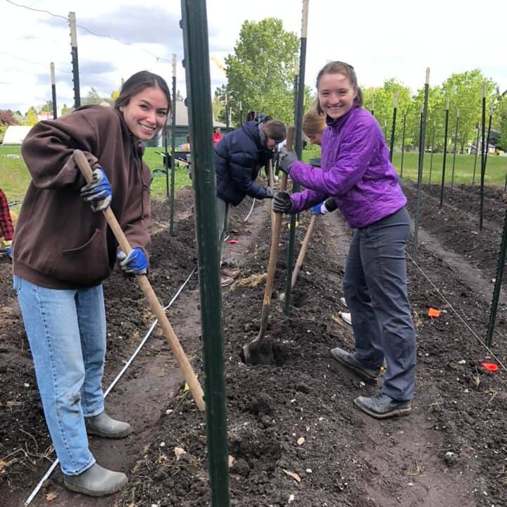 Two students smiling as they dig holes for tomato transplants. They are using shovels on either side of the bed with a t-post between them.