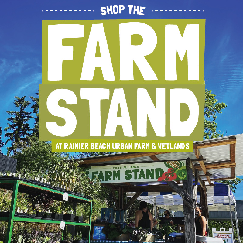 Flyer the says "Shop the Farm Stand at Rainier Beach Urban Farm and Wetlands" text in front of a photo oh the Farm Stand.