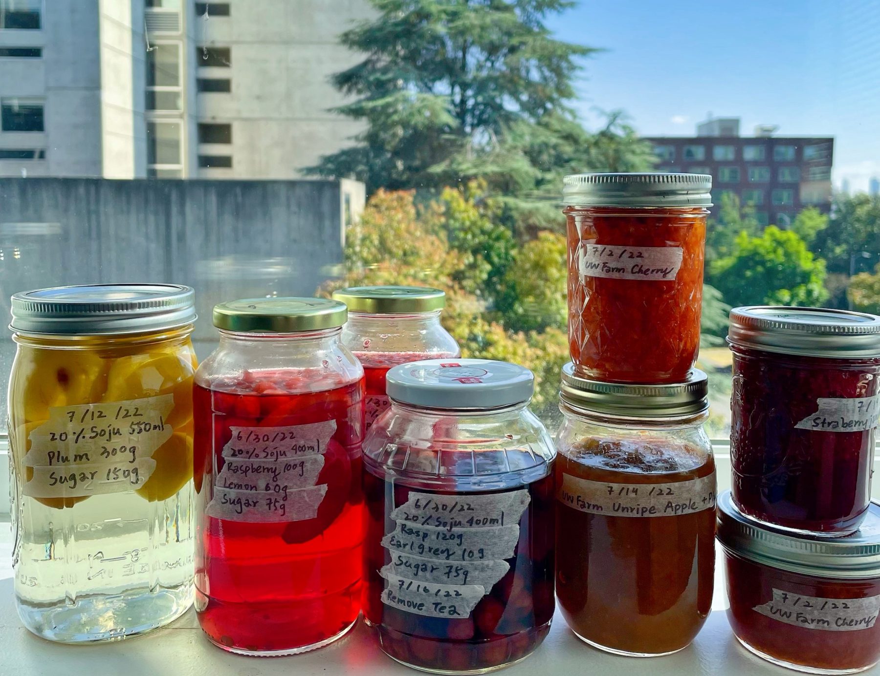 jars of various sizes filled with different fruits and wine to make a fruit wine.