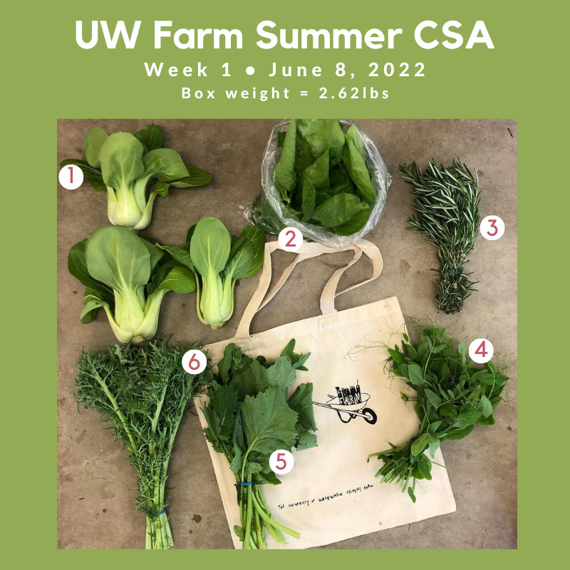 Veggie key for  CSA. Includes Bok Choy, Spinach, Rosemary, Pea Shoots, Broccoli Raab, Siberfrill Kale, and a UW Farm Tote Bag.