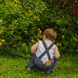 Creating a Child-Friendly Garden (online)
