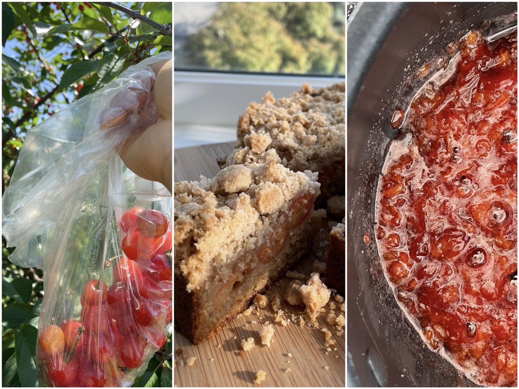 3 pictures are shown here. The first are freshly picked cherries from UW Farm. The second is a cherry coffee cake, and the third is cherry jam