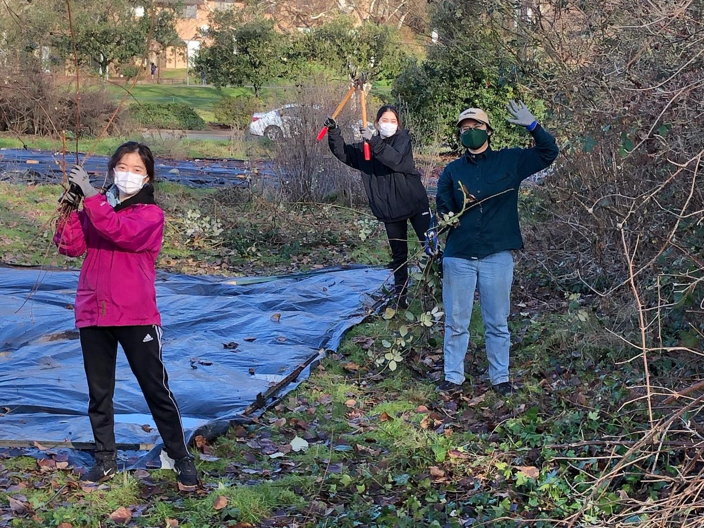 3 volunteers in the field with their masks on. 2 of them are holding up loppers and one person is waving. They are dressed in warm clothing and surrounded by winter foliage, next to a large blue tarp. 