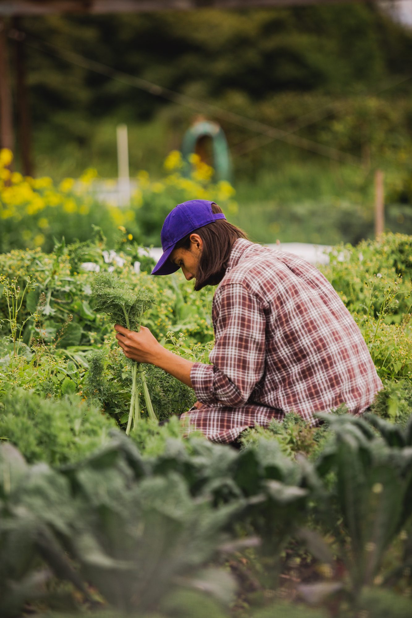 UW Farm