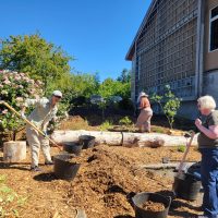 Volunteers working throughout the Center for Urban Horticulture
