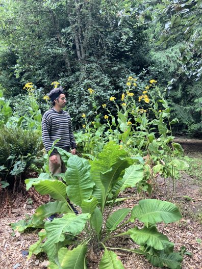 Arturo standing in a plant bed