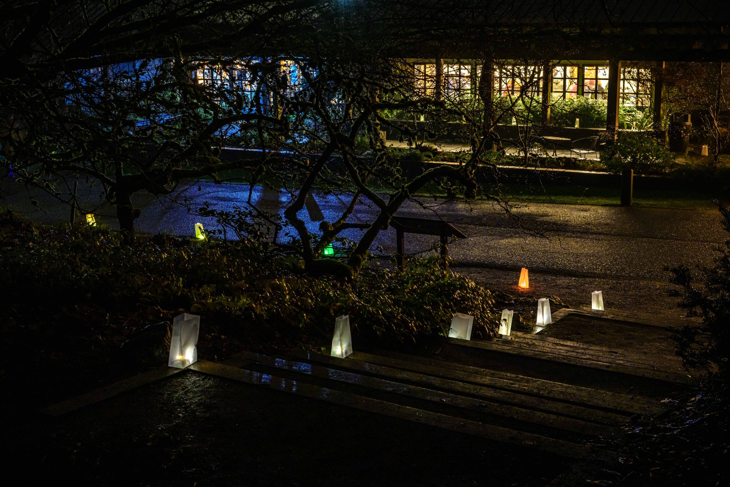 luminary path