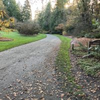 Azalea Way trail view, compacted gravel